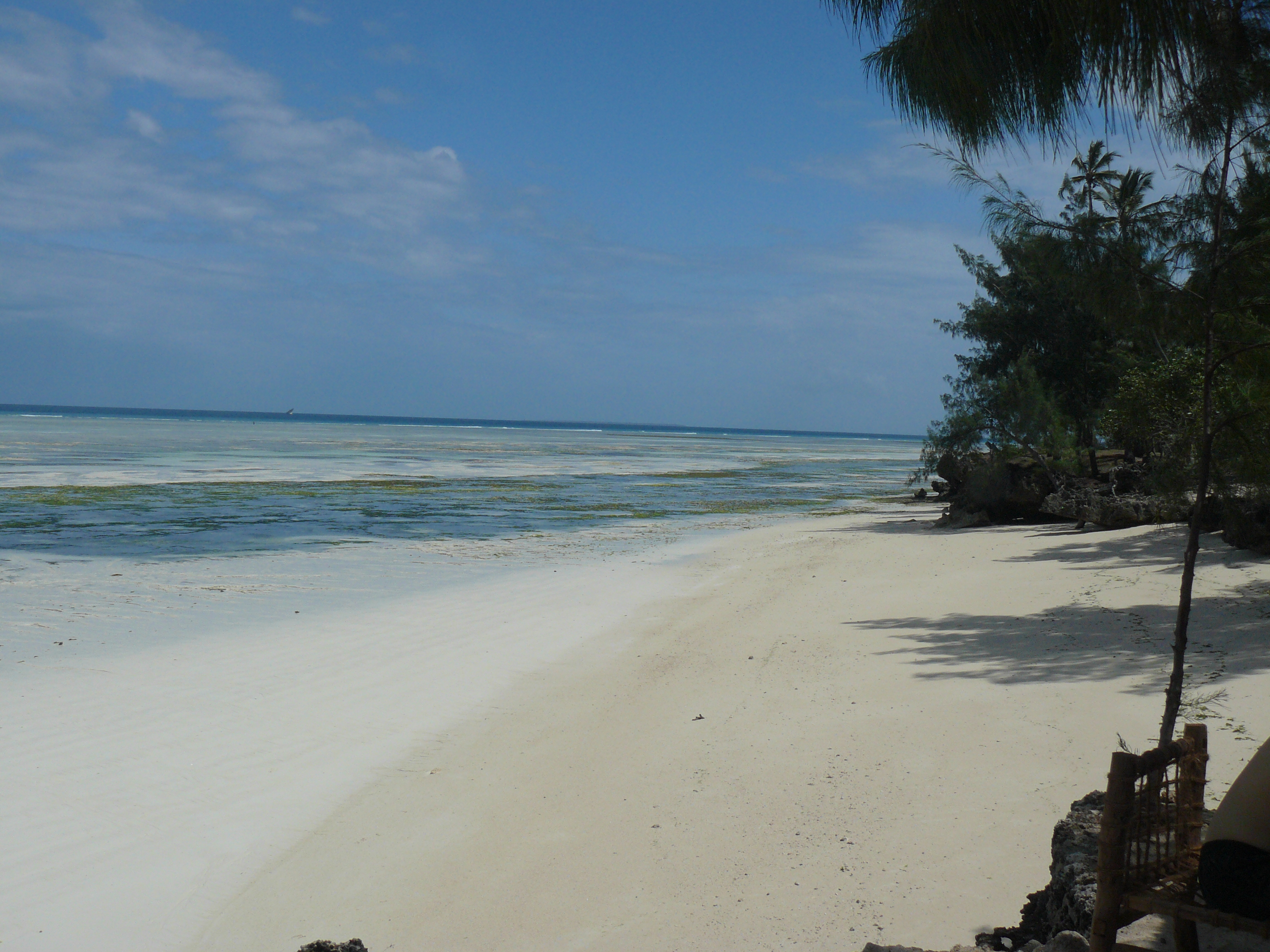 9-Day Kenya/Tanzania Safari + Zanzibar Beach